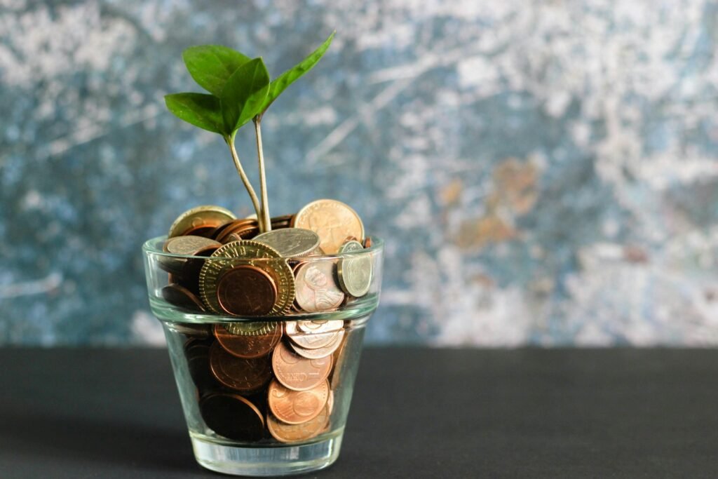 Investment, Capital Markets and Fund Structuring