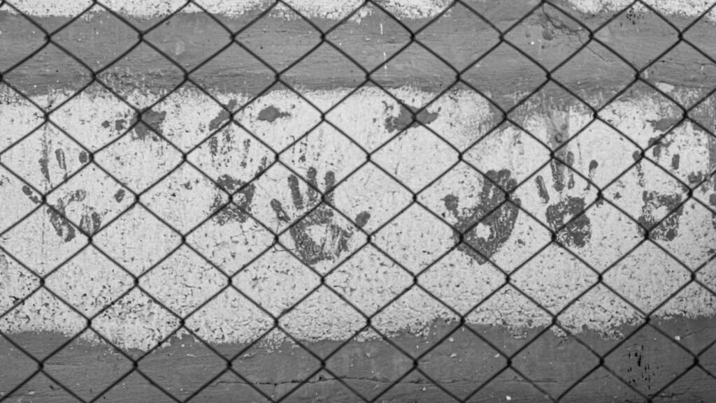 Violent Crime and Personal Offence Defence